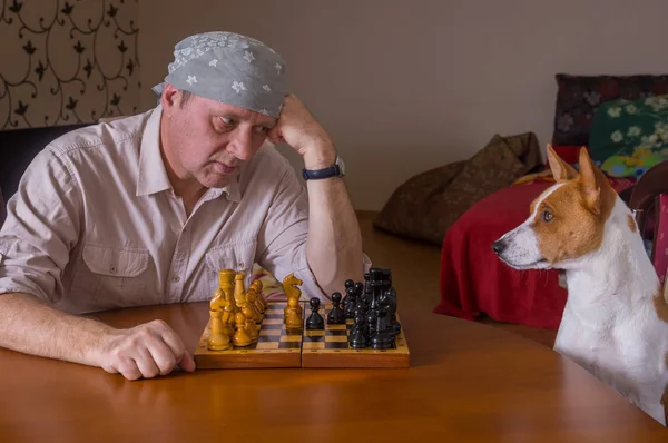 Reifer Mann Der Seinen Hundeähnlichen Rivalen Bei Einem Schachfamilienturnier Hart — Stockfoto