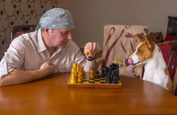 Young dog and mature man playing chess in a family tournament