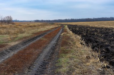 Tarım peyzaj toprak yol çayır ve Poltavskaya oblast, Ukraine sonbahar sezonu hasat Mısır alan arasında ile