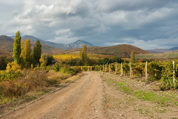 Mountain Landscape Earth Road Vineyards Crimean Peninsula — Stock Photo, Image