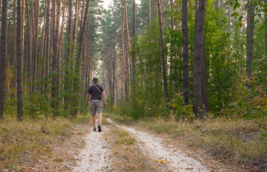 Çam ormanı akşam için bir toprak yolda yalnız fiyatı