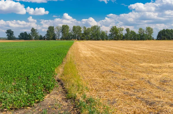 Ukrainian Agricultural Landscape Fall Season — Stock Photo, Image