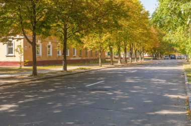 Kremenchuk, Ukrayna - 20 Eylül 2015: Leo Tolstoy sokakta kestane ağaçları Kremenchuk Ukrayna 20 Eylül 2015, gölgesi altında