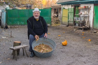 Homestead, Kuru hasat ile mutlu Ukrayna köylü