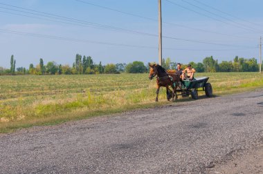 Bozhkove, Poltavskaya Oblast, Ukrayna - 05 Eylül 2015: İki at ve araba ekolojik ulaşım aracı olarak kullanarak köylü 05 Eylül 2012 yılında Bozhkove, Poltavskaya oblast, Ukrayna, bir ülke yolda hareket 