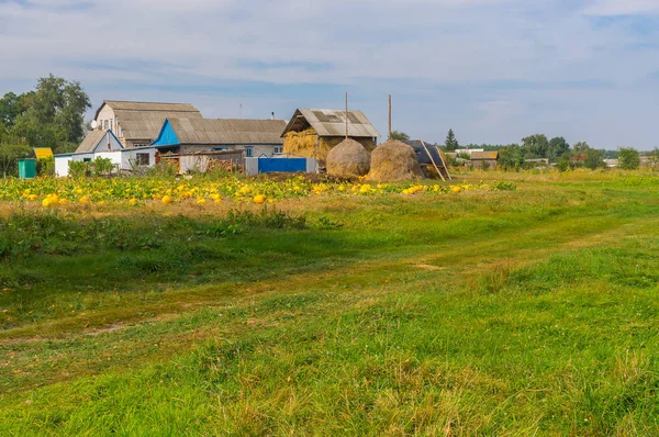 Podzimní Krajina Malými Vzdálené Vesnice Střední Ukrajině — Stock fotografie