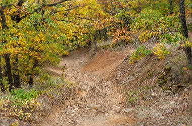 Dağ orman kayalık yol Kırım Yarımadası'nda sezon sonbahar