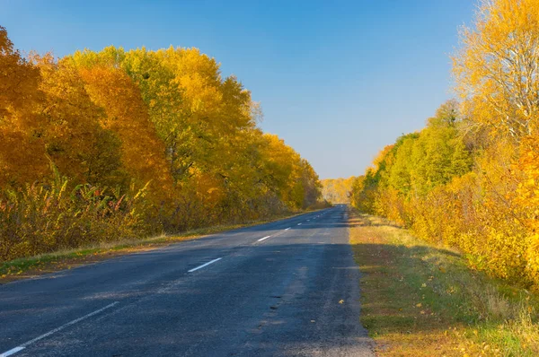 Üres Vidéki Road Közép Ukrajna Napsütéses Őszi Napon — Stock Fotó