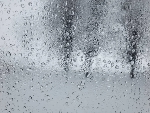 在冬季 在树上哭泣的车窗上透过水滴 — 图库照片