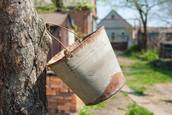 Παλιά Σκουριασμένα Κάδου Κρέμονται Μια Λαβή Ένα Δέντρο Μποφ Άνοιξη — Φωτογραφία Αρχείου
