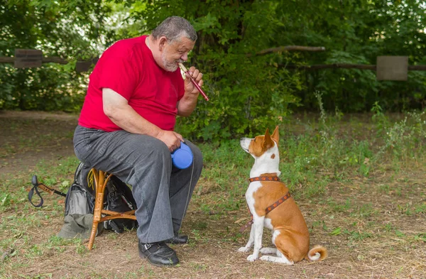 Senior Spielt Seinem Basenji Hund Eine Melodie Mit Fünf Tönen — Stockfoto
