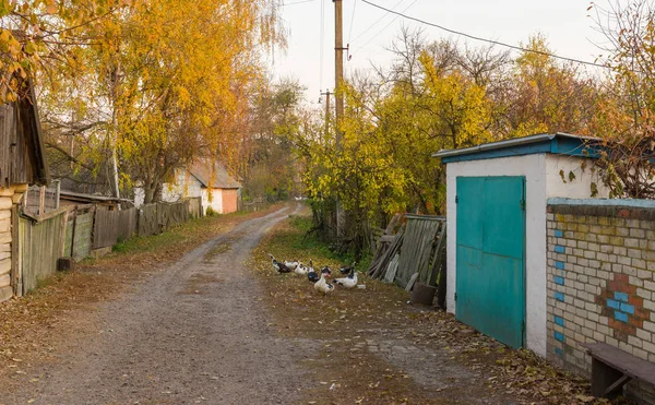 Małej Uliczce Odległej Wiosce Ukraiński Jesienią Sezonu — Zdjęcie stockowe