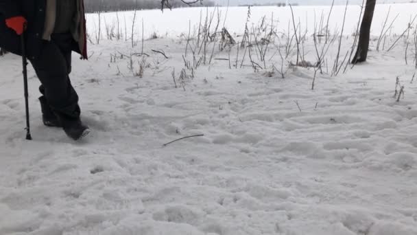 Dolna Część Człowiek Sobie Buty Filcowe Rodzaj Filcu Chodzenia Śniegu — Wideo stockowe