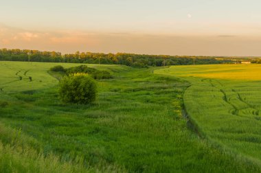 Ukrayna tarım manzara ile akşam saat dolunayda