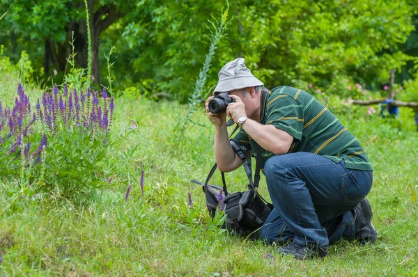 Enthusiastic Mature Photographer Taking Photo Wild Butterfly — Stok fotoğraf