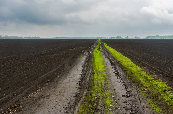 Classic Ukrainian agricultural landscape at spring season