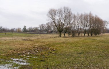 Erken Bahar manzara kırsal alanda, Merkezi Ukrayna