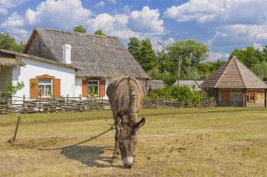 Ülke yaz sahne Merkezi Ukrayna