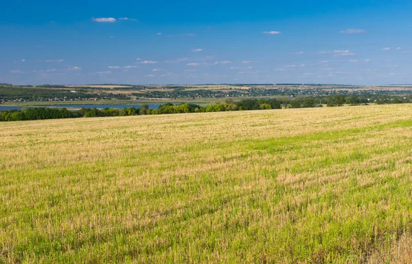 Ukrainische Agrarlandschaft Mit Gemähtem Getreidefeld Ende Der Sommersaison — Stockfoto