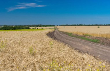 Klasik Ukraynalı yaz yatay, Mısır alanları ve yol