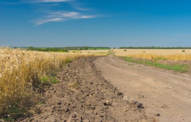 Ukraynalı kırsal manzara Mısır alanları ve yol
