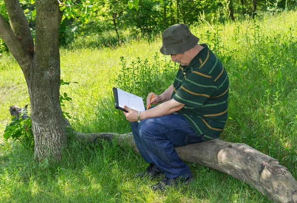 Pintor Maduro Haciendo Boceto Aire Libre — Foto de Stock