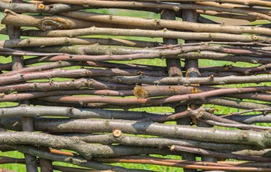 Ukraynalı köy için klasik doğal çit 