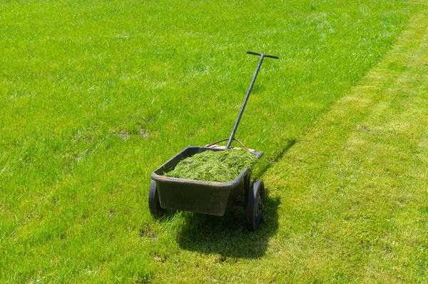 Wheel Barrow Filled Cut Grass Summer Lawn — Φωτογραφία Αρχείου