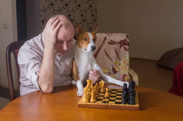 Mature man with basenji dog hard looking on a chess board while thinking about next move in a chess family tournament