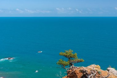 Bahar sezonunda Cape Martyan rezerv güzel manzara, Kırım yarımadası