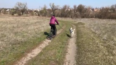 Bahar sezonunda bir toprak yolda karışık doğurmak beyaz köpek ile kadın Bisiklet