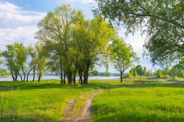 Svetlovodsk kasabasının yakınındaki Dnepr nehrinin nehir kıyısı, orta Ukrayna