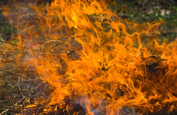 Táborní Požár Lesním Plášti — Stock fotografie