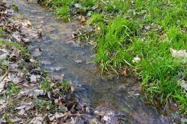 Akarsu ölü ve diri doğa dünyasını böler 