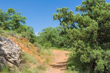 Cape Martyan doğal rezervbahar manzara, Kırım, Karadeniz kıyısı, Ukrayna.