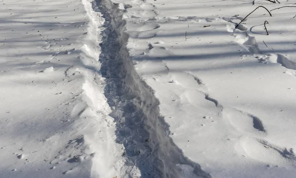 Pedestrian Track Snow — Stock Photo, Image