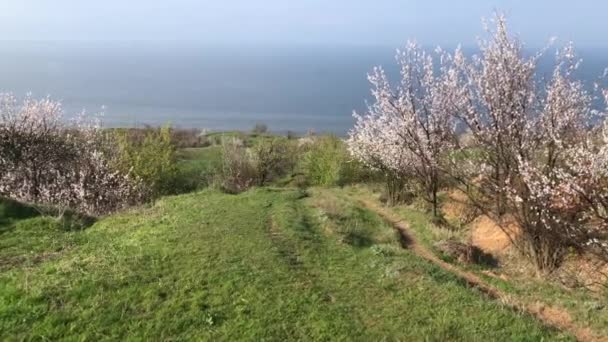 カメラは スケルキ村 ウクライナの近くのドニプロ川に位置カホフカ貯水池川岸に地球の春の歩道にダウンします — ストック動画