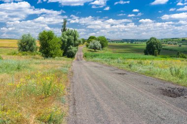 Orta Ukrayna'da kırsal yol ile Yaz manzara.