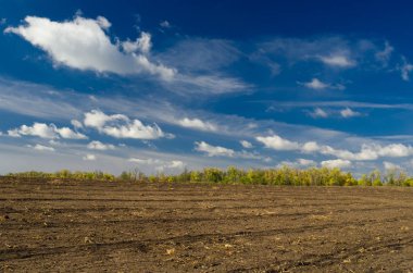 Göklerde ve tarlalarda sıralar - boş düşme alanı altında düşük gökyüzü ile mevsimlik manzara.