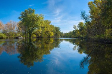 Küçük Ukrayna nehri Oril (en büyük nehir Dnepr sol giriş) sonbahar sezonunda.