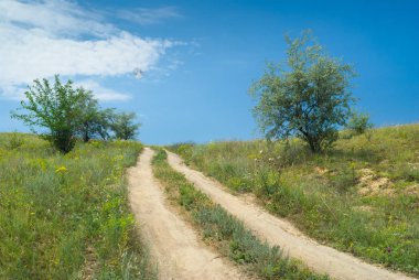 Kırsal yol ve geç ay ile yaz kırsal peyzaj.