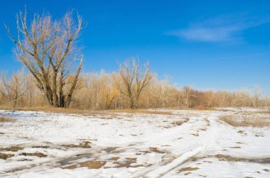 Kış manzarası - bahar yaklaşıyor.