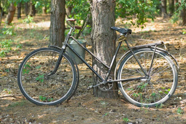 Uma Bicicleta Velha Perdida Uma Floresta Verão — Fotografia de Stock