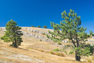 Kırım'daki Ai-Petri dağ sofrasından mistik sonbahar manzarası, Ukrayna.