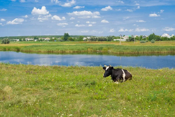 Paysage Rural Dans Centre Ukraine Avec Petite Rivière Samara Saison — Photo