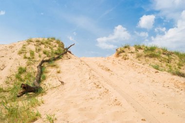 Rallinin kumlarda zıplama yeri.