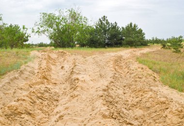 Kumlarda çatallı yol.