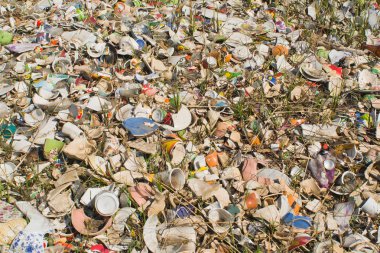 Çöplükte sofra takımı.