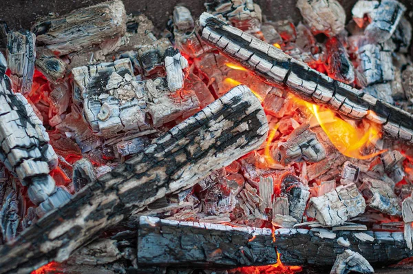Κορυφαία Προβολή Κορμούς Που Καίγονται Μεταλλικό Φούρνο — Φωτογραφία Αρχείου