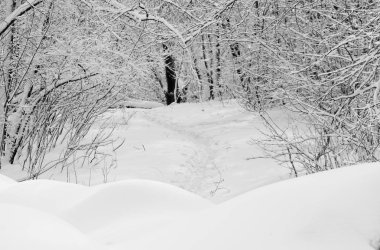 Kış parkında hiçbir yere giden yol.